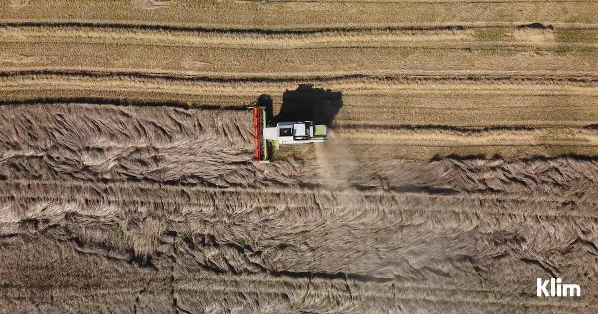 Aerial view of harvester cutting grain