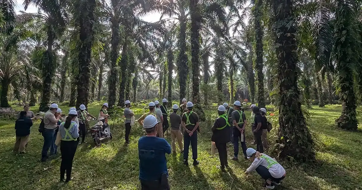 Workers from SAN visit planation in Malaysia