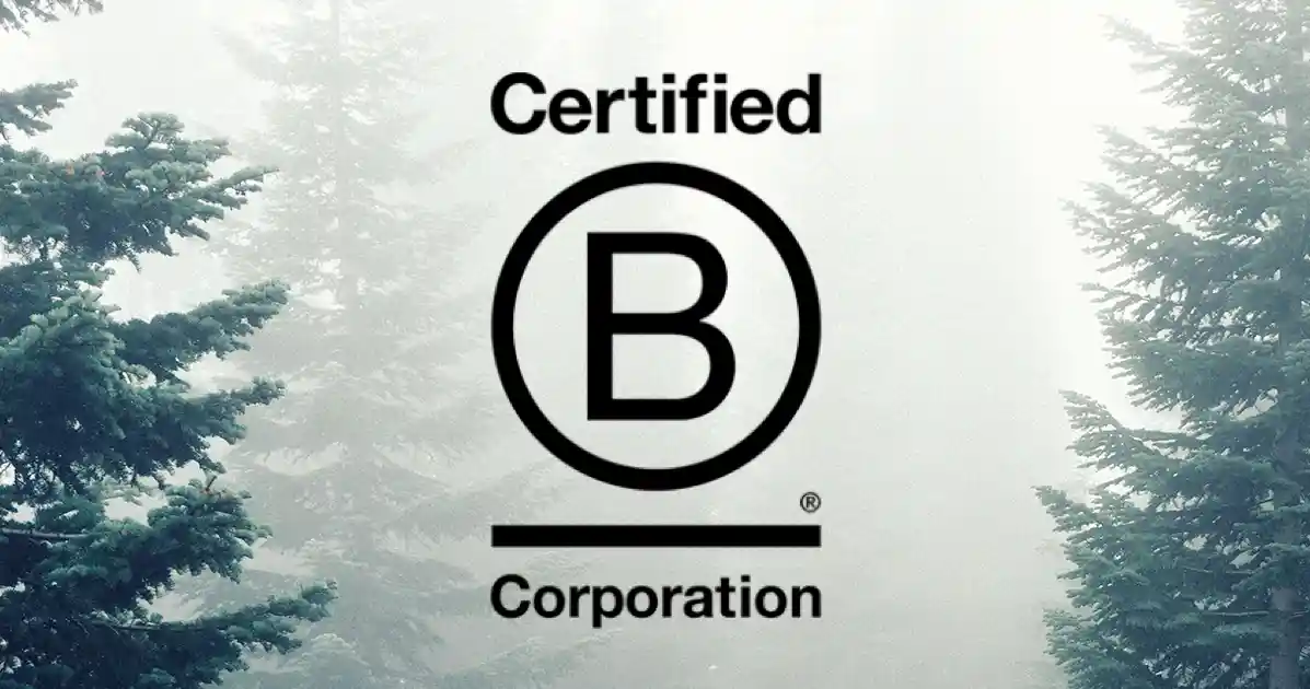 B Corporation logo with trees in the background