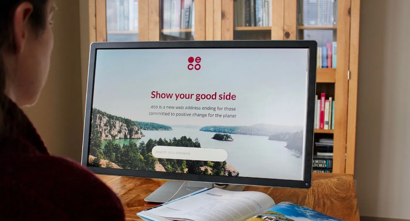 User searching for a .eco domain