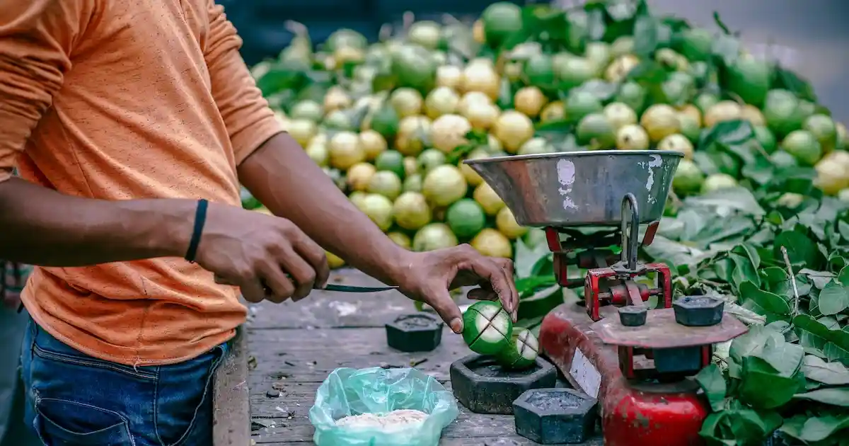 Man slicing and weighing oranges